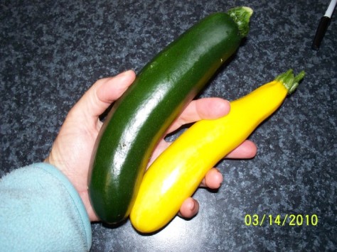05.2010 zucchini